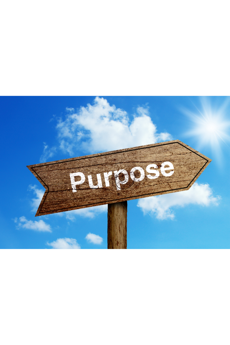 Navigating Success with Purpose: IYG Small & Mid-Sized Business Guide